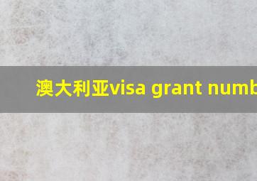 澳大利亚visa grant number